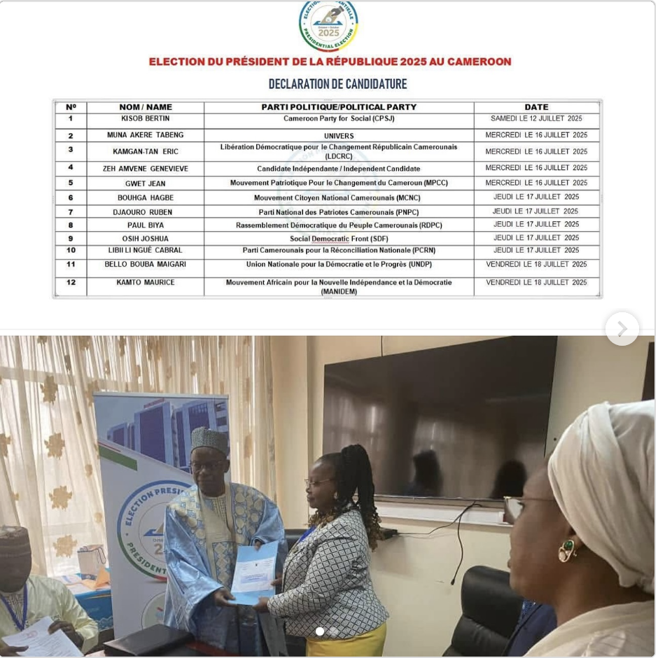 12 candidats à l’élection présidentielle camerounaise